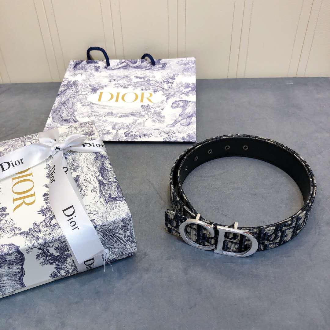 Dior Saddle Dior Oblique Belt - 