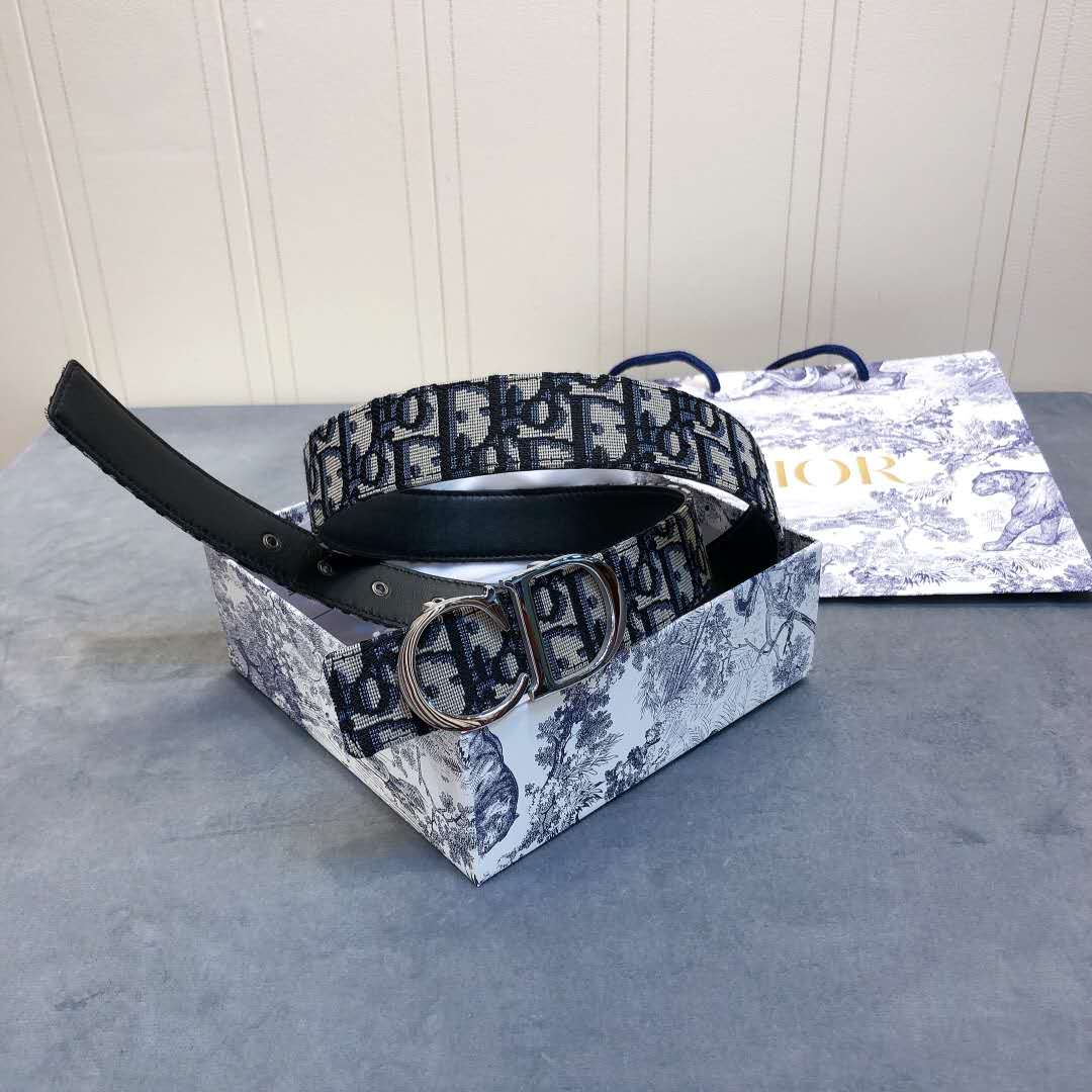 Dior Saddle Dior Oblique Belt - 