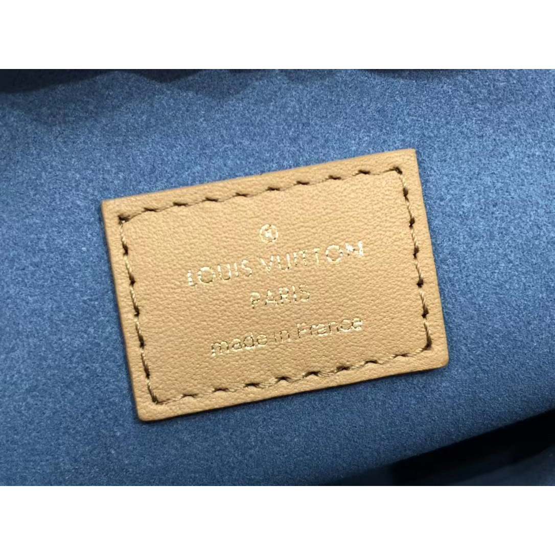 Louis Vuitton  Handbag （20 x 16 x 12cm） - 
