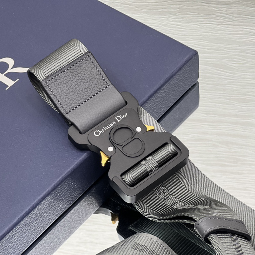 Dior Saddle Bag - 