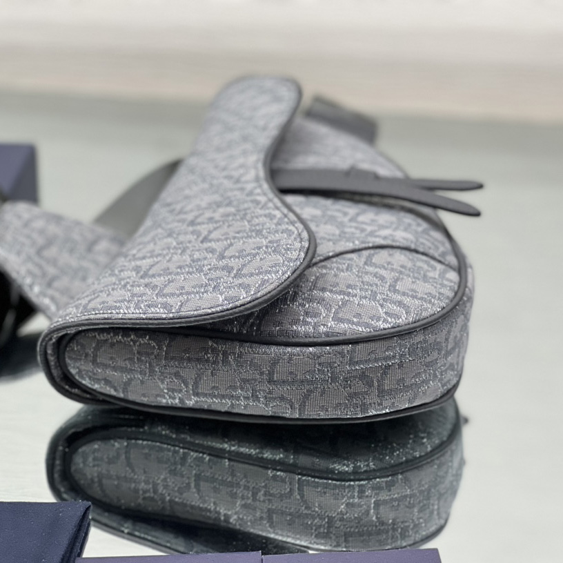 Dior Saddle Bag - 