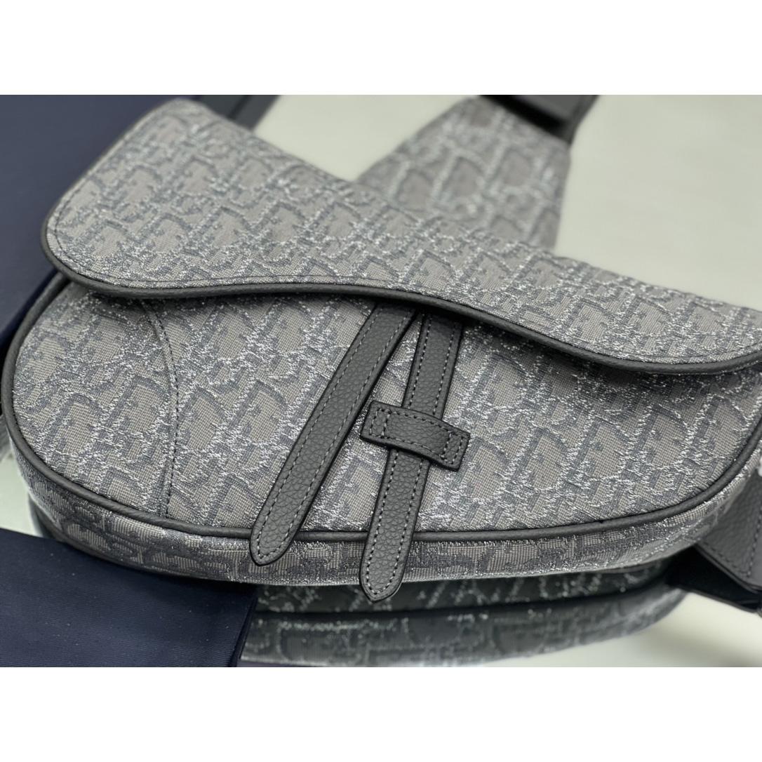 Dior Saddle Bag - 