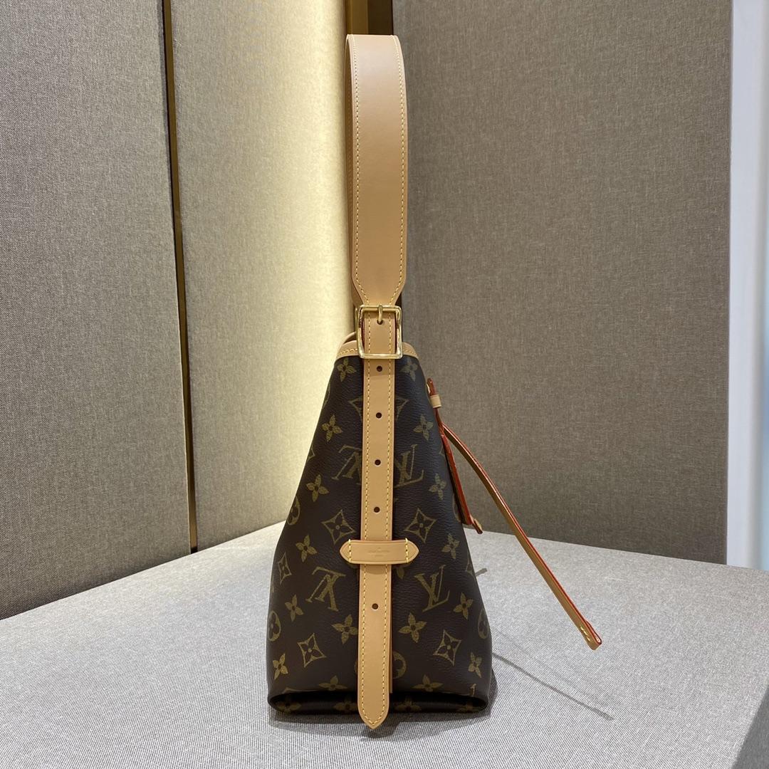 Louis Vuitton CarryAll PM (29-24-12cmCM)   M46203 - 