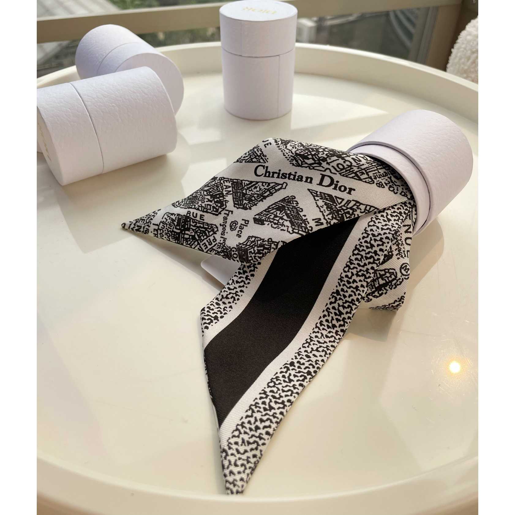 Dior Plan de Paris Mitzah Scarf  - 