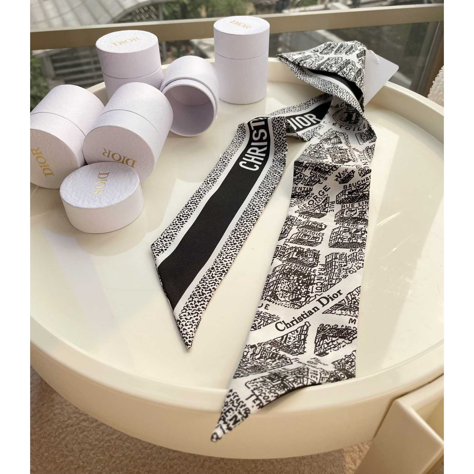 Dior Plan de Paris Mitzah Scarf  - 