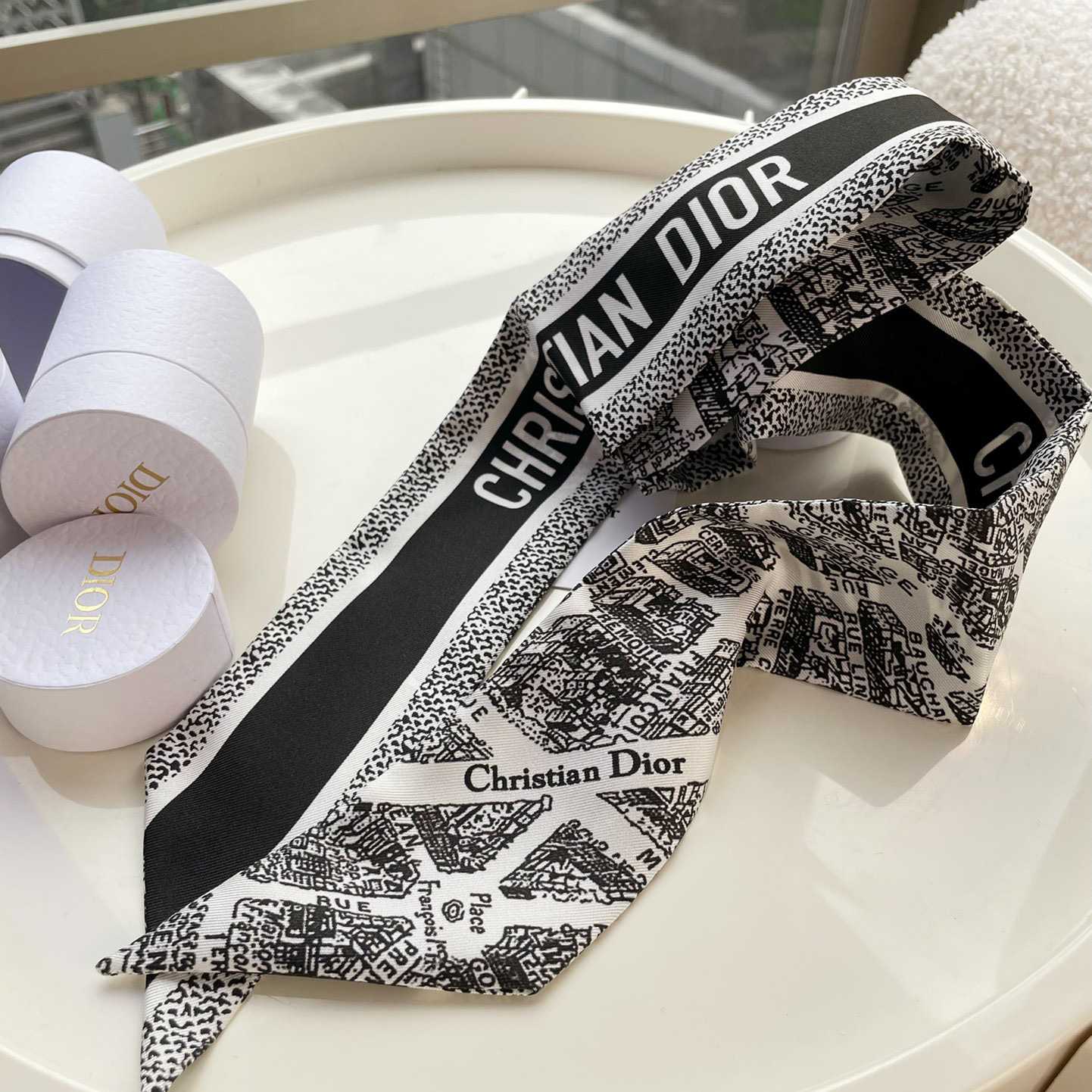 Dior Plan de Paris Mitzah Scarf  - 