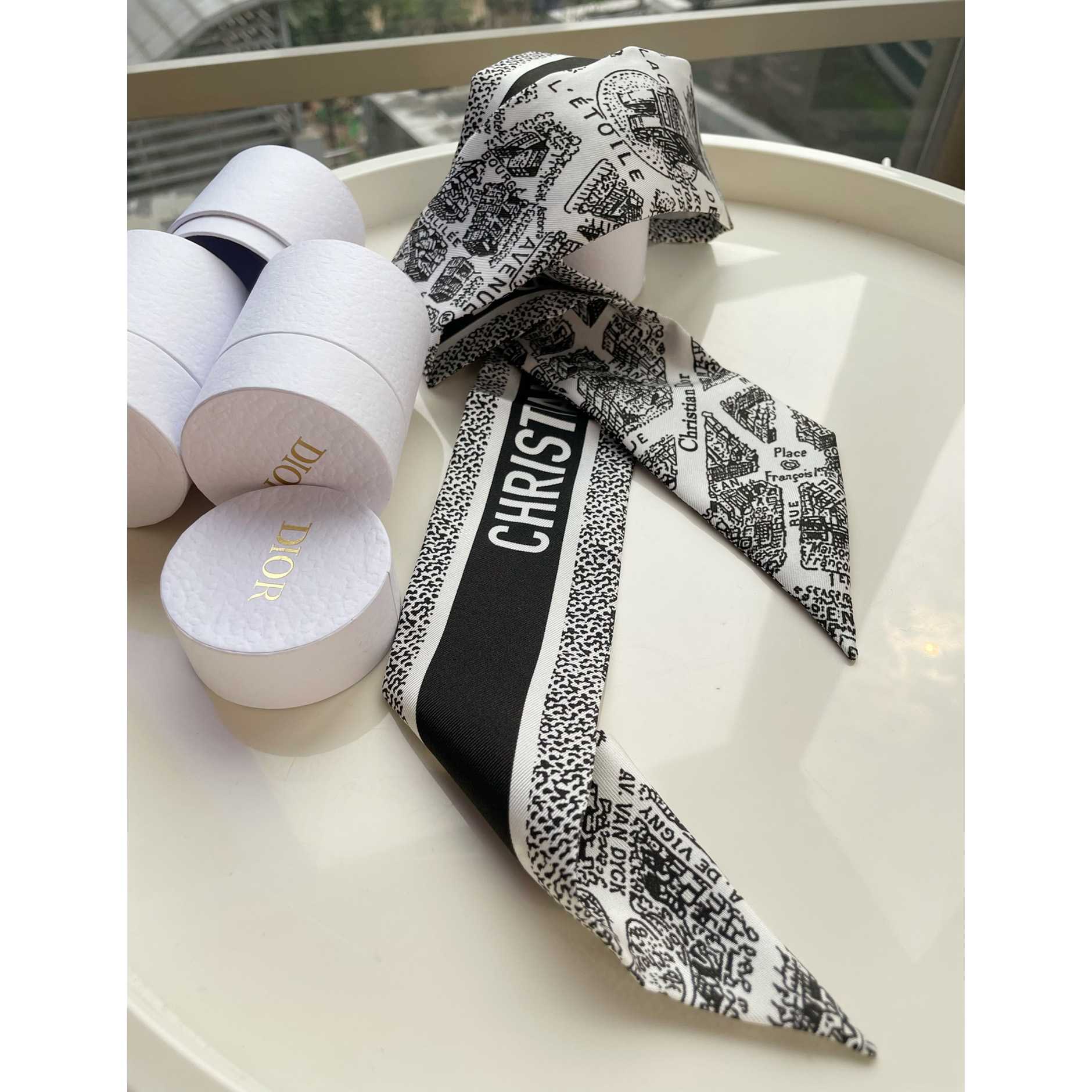 Dior Plan de Paris Mitzah Scarf  - 