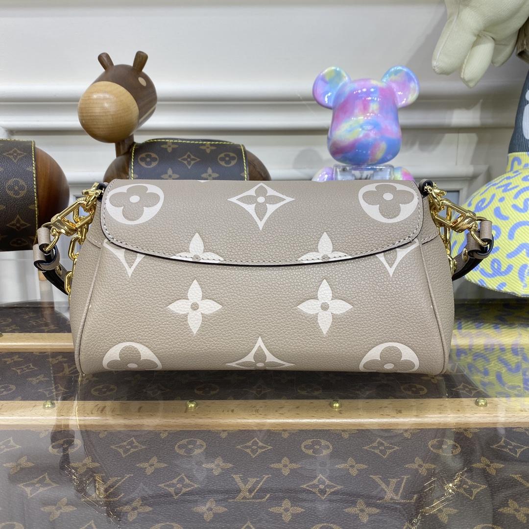 Louis Vuitton Favorite(24 x 14 x 9cm)    M45836 - 