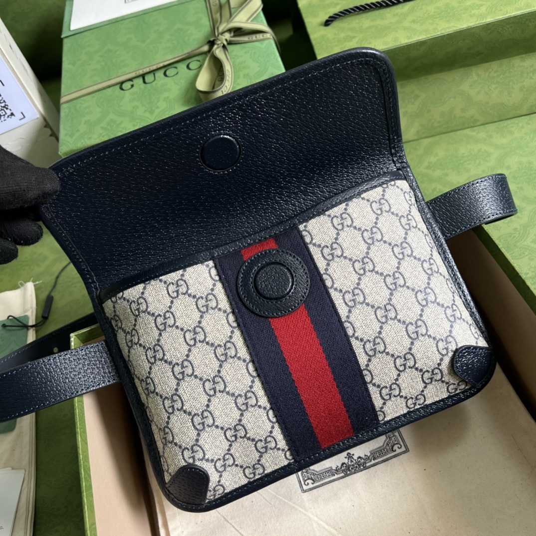 Gucci Ophidia Belt Bag(22*17*3.5cm) - 