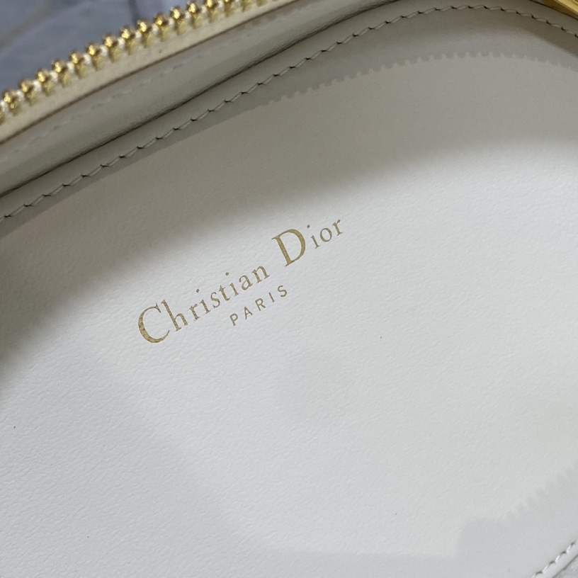 Dior CD Signature Oval Camera Bag - 