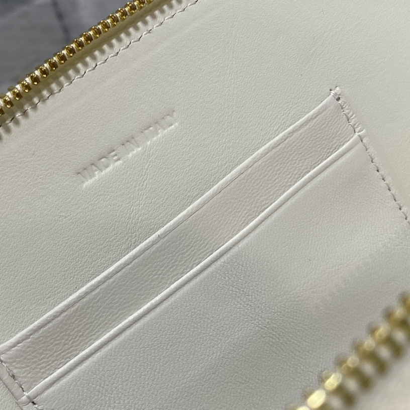 Dior CD Signature Oval Camera Bag - 