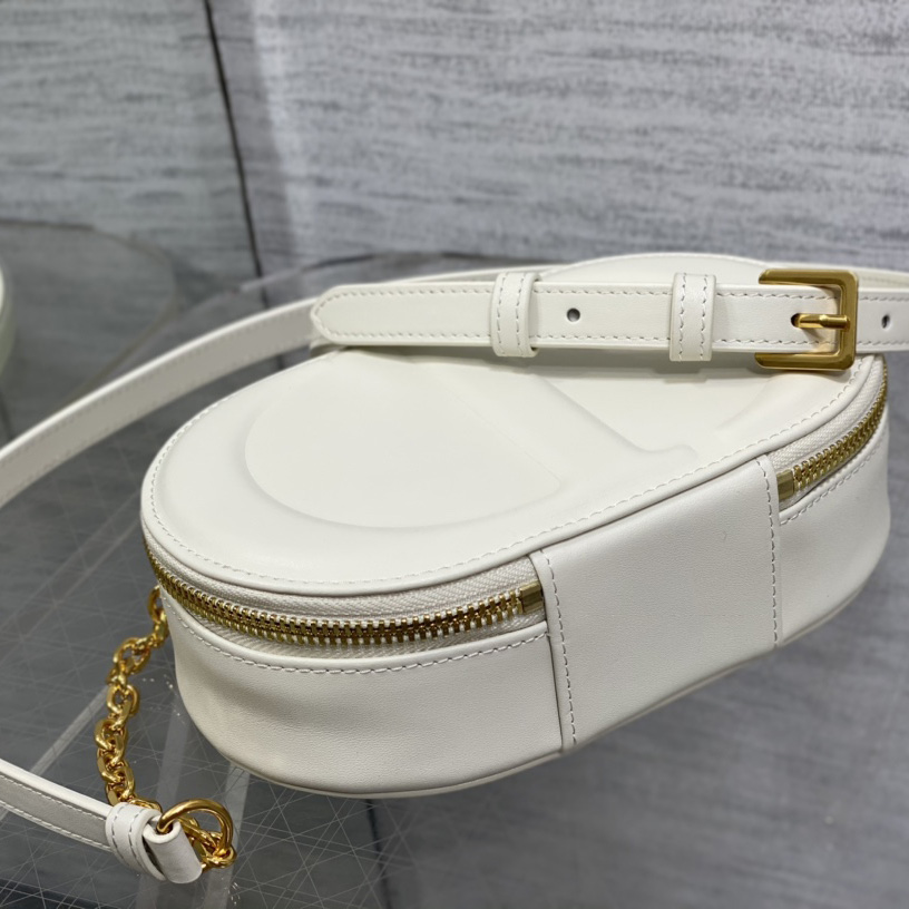 Dior CD Signature Oval Camera Bag - 