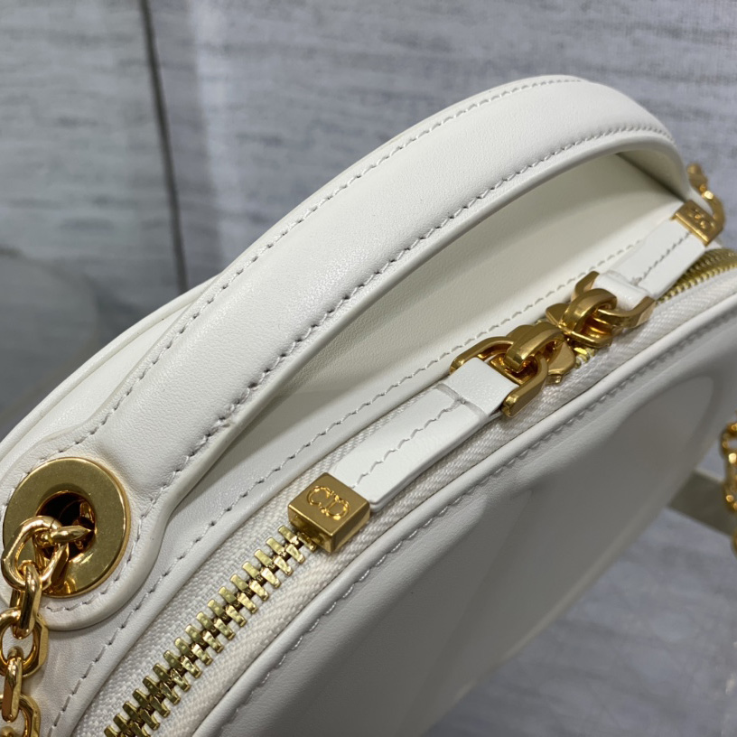 Dior CD Signature Oval Camera Bag - 