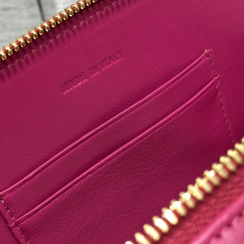 Dior CD Signature Oval Camera Bag - 