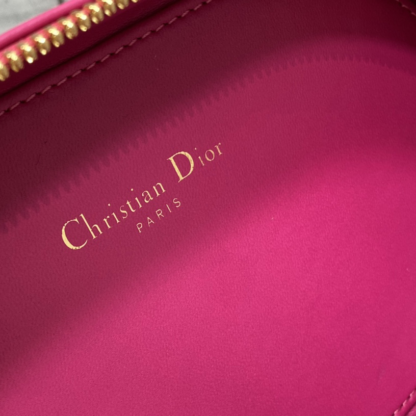 Dior CD Signature Oval Camera Bag - 