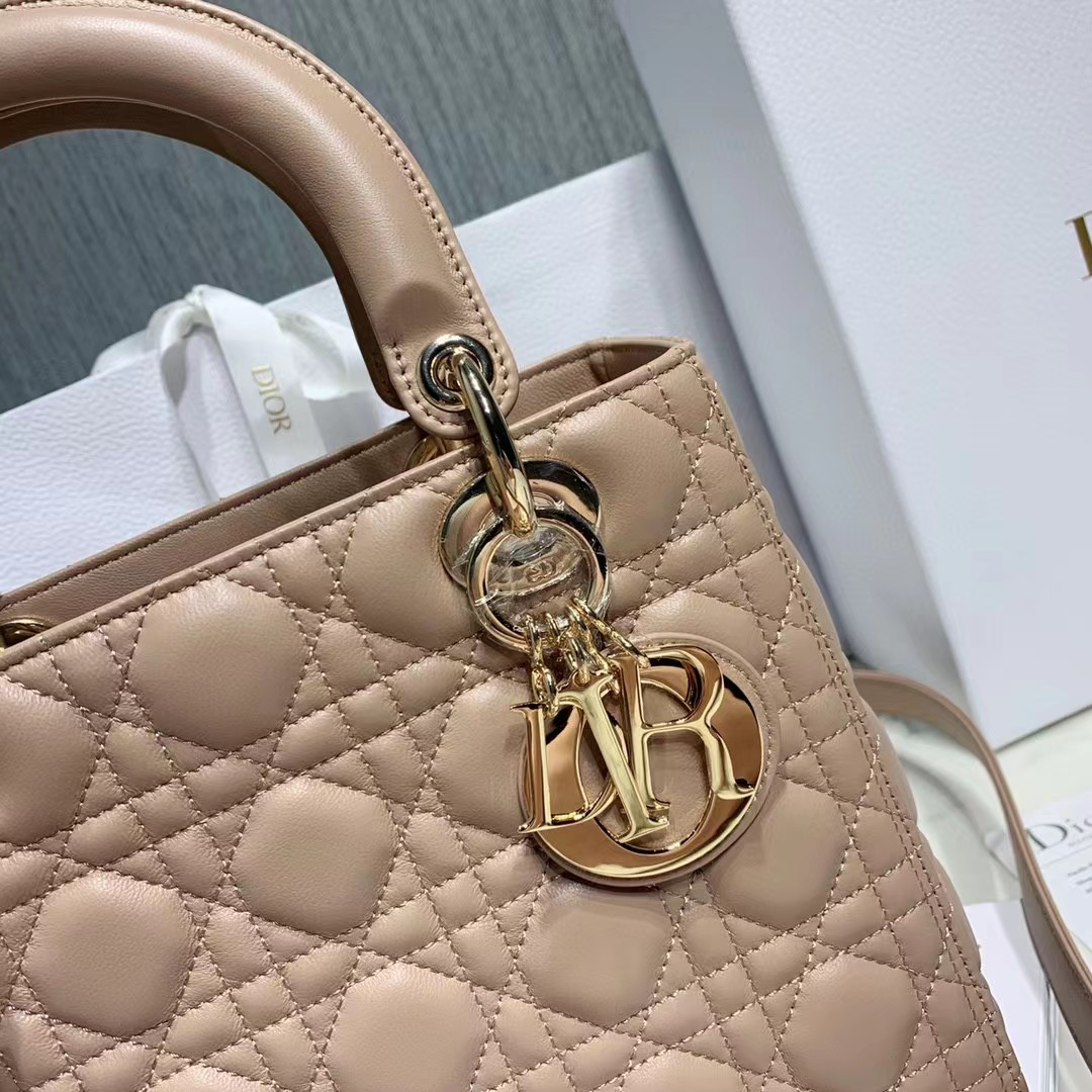 DiorLady Dior Bag  20cm - 