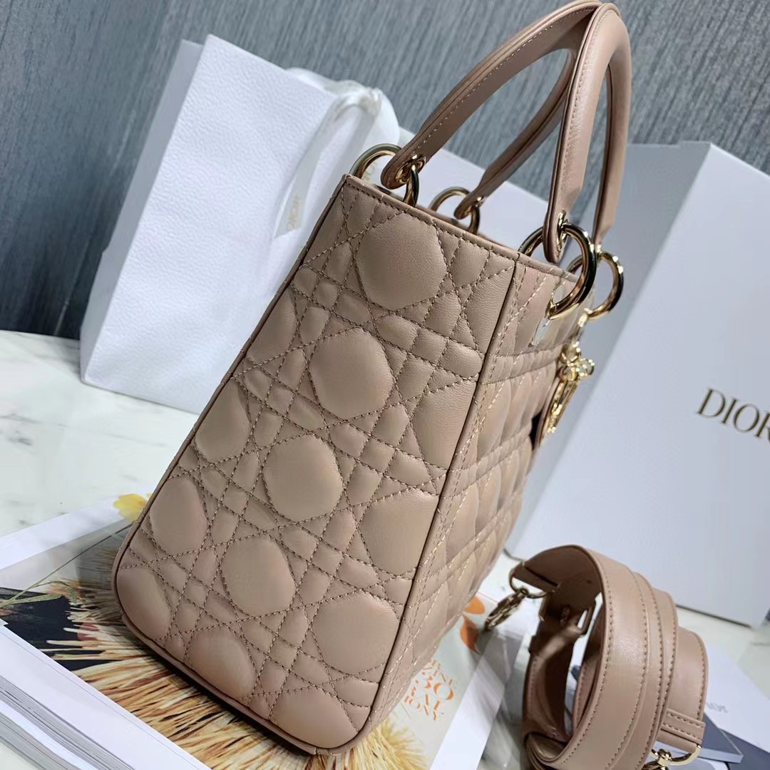 DiorLady Dior Bag  20cm - 