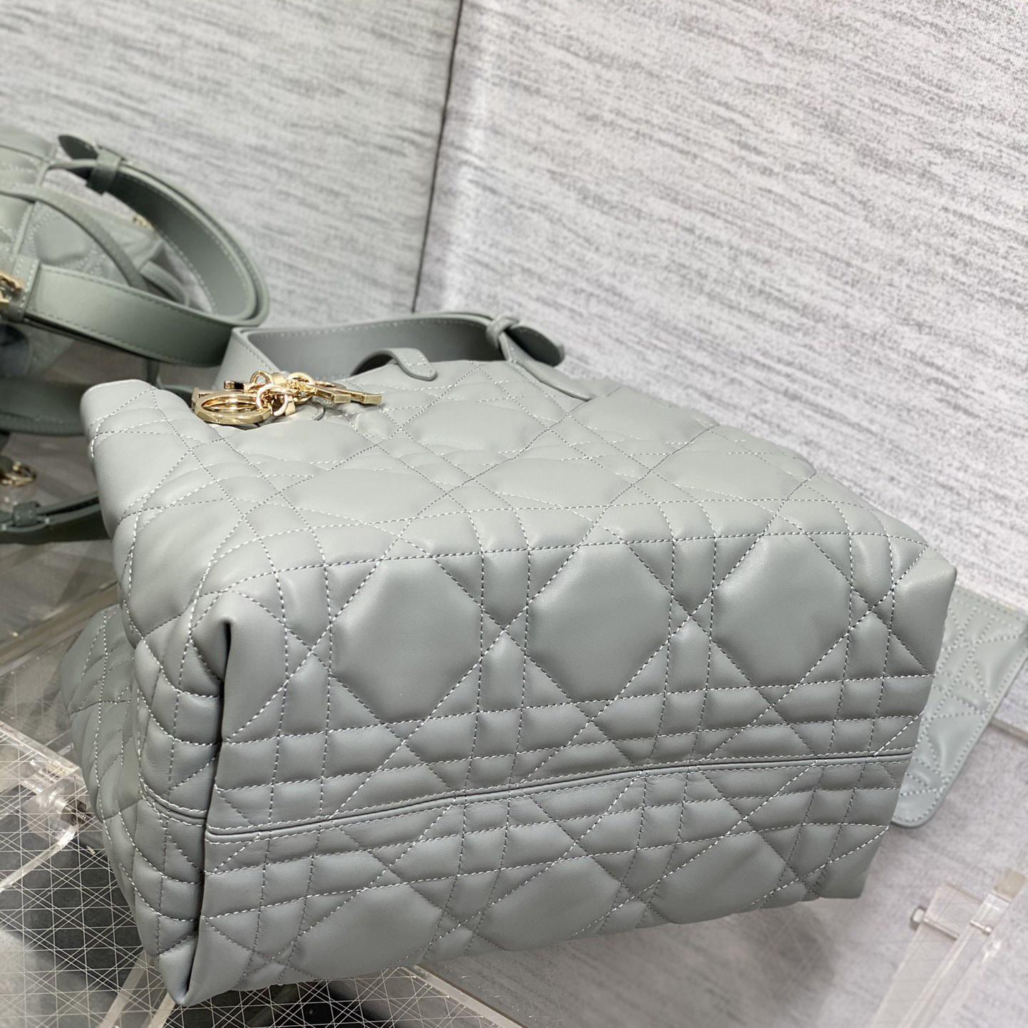 Dior Medium Dior Toujours Bag - 