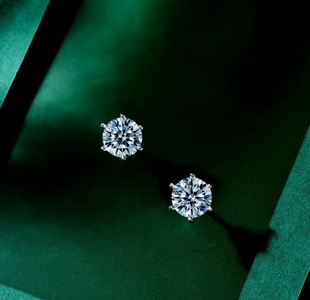 Tiffany&CO Earrings - 
