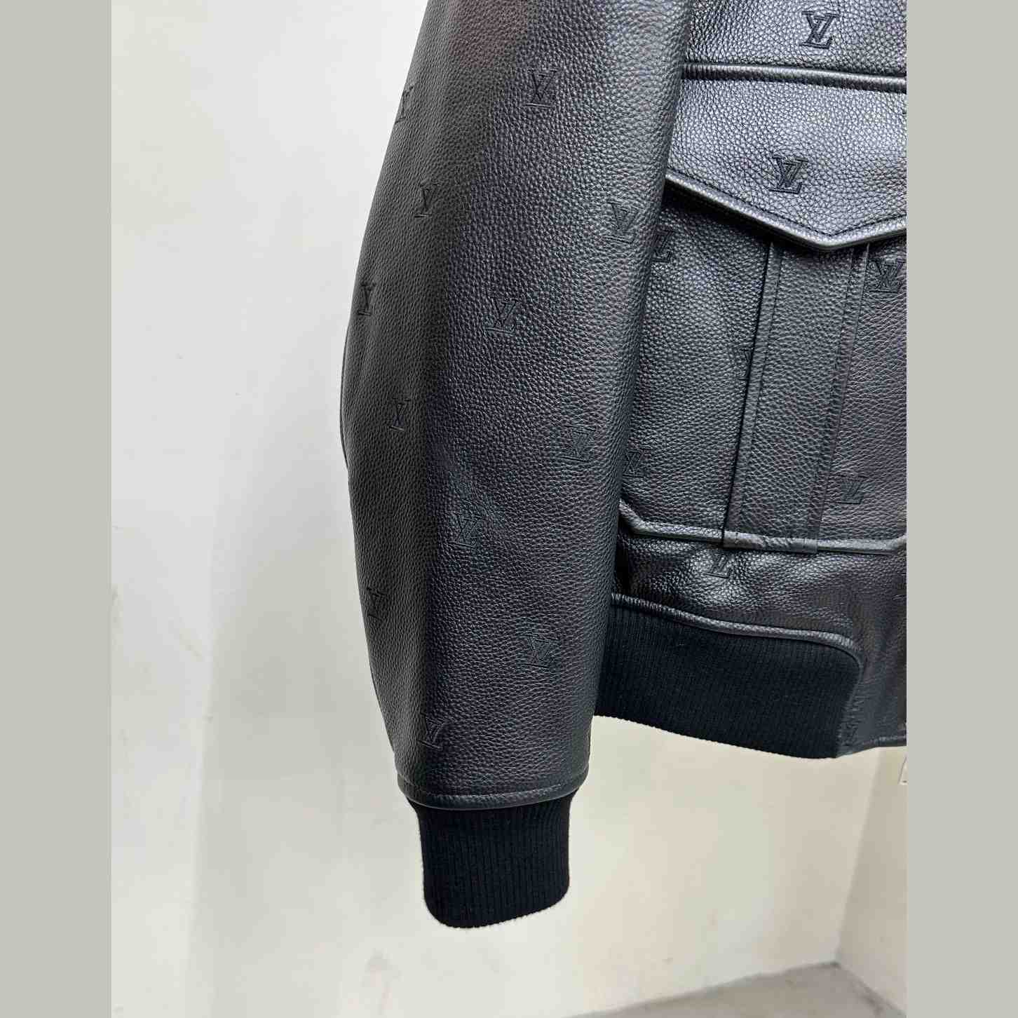 Louis Vuitton Leather Aviator Mink Collar    1AFIPA - 