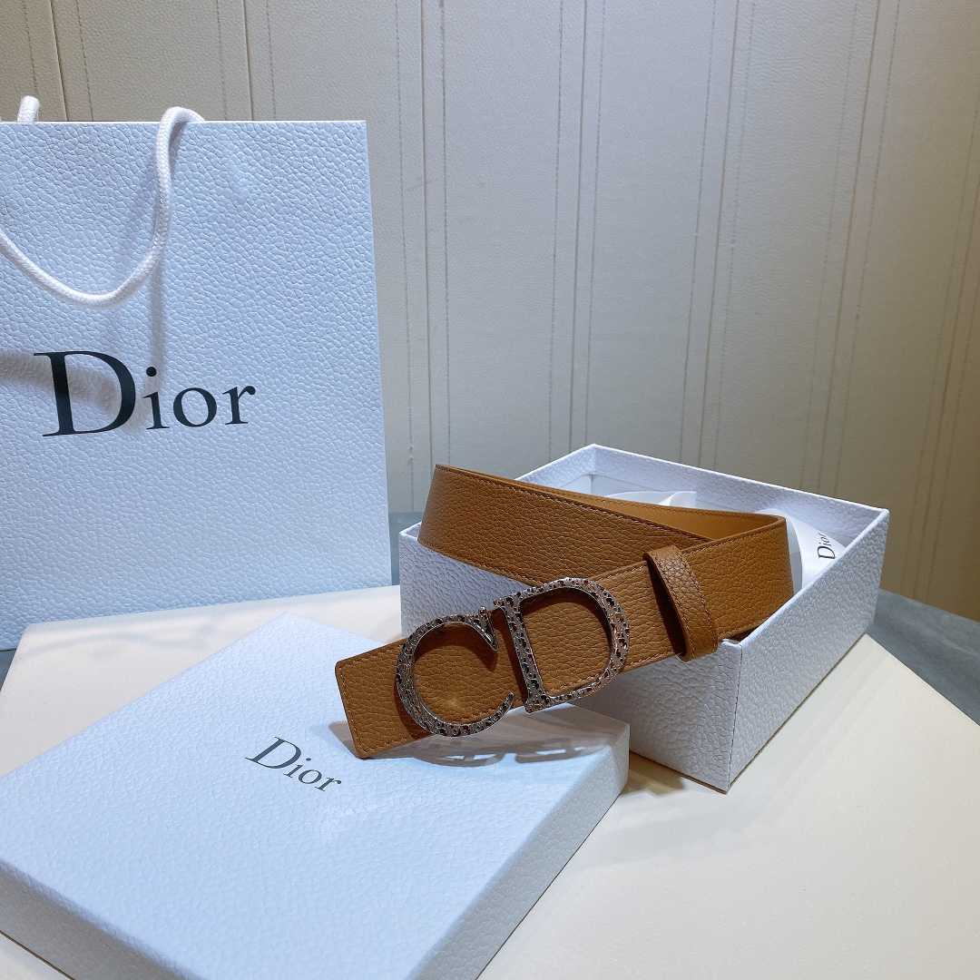 Dior Reversible Saddle Belt - 