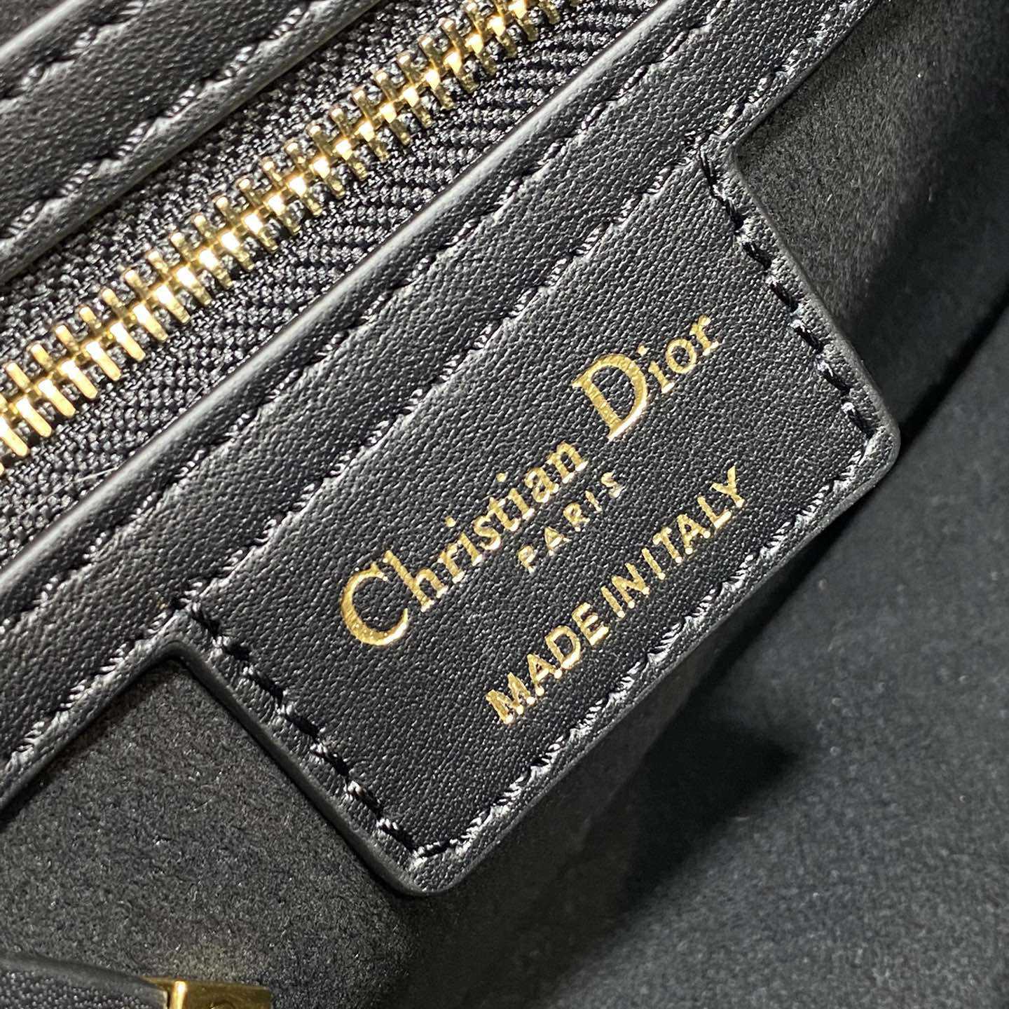 Dior Small CD Besace Bag - 