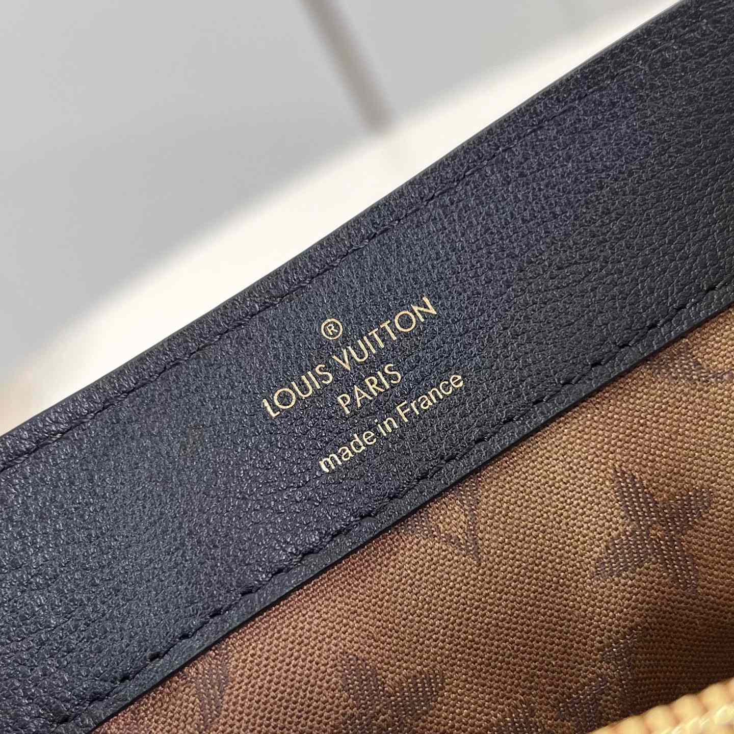 Louis Vuitton Dauphine Soft MM   M25209 - 