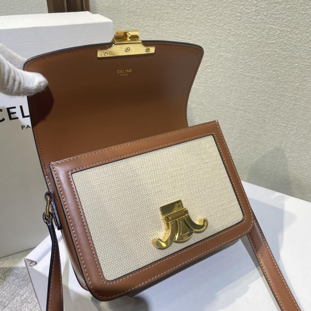 Celine Teen Triomphe Bag In Textile And Calfskin - DesignerGu