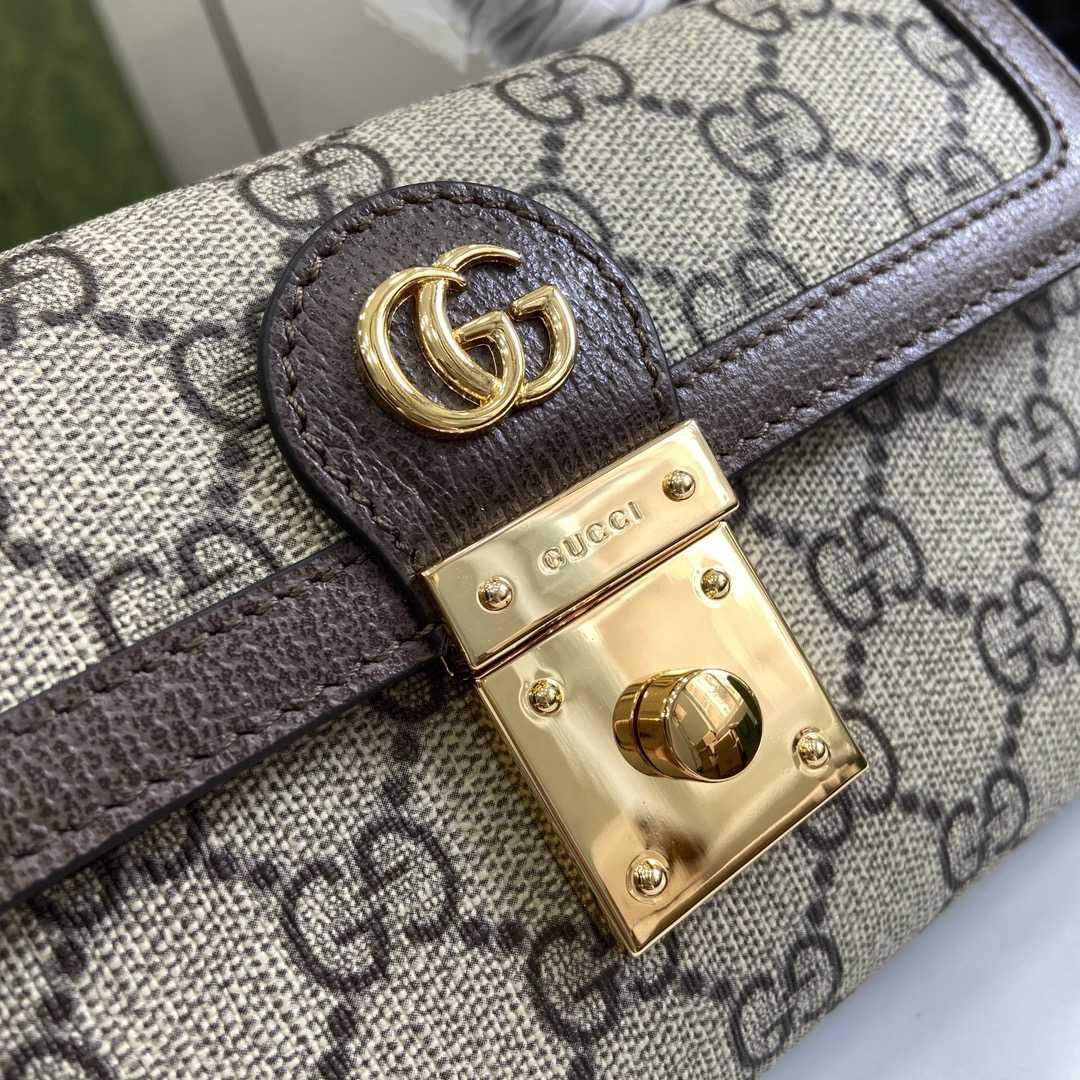 Gucci Ophidia Mini Bag - 