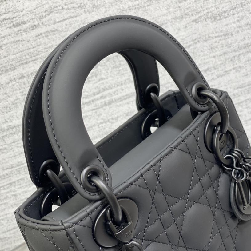 Dior  Lady Dior Bag  (17*7*15cm) - 