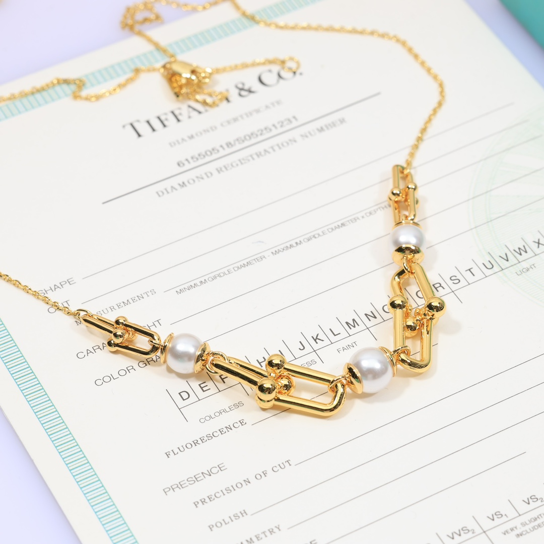 Tiffany & Co. Link Necklace - 