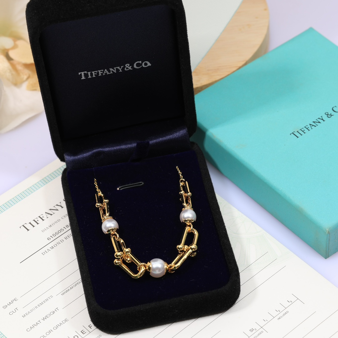 Tiffany & Co. Link Necklace - 