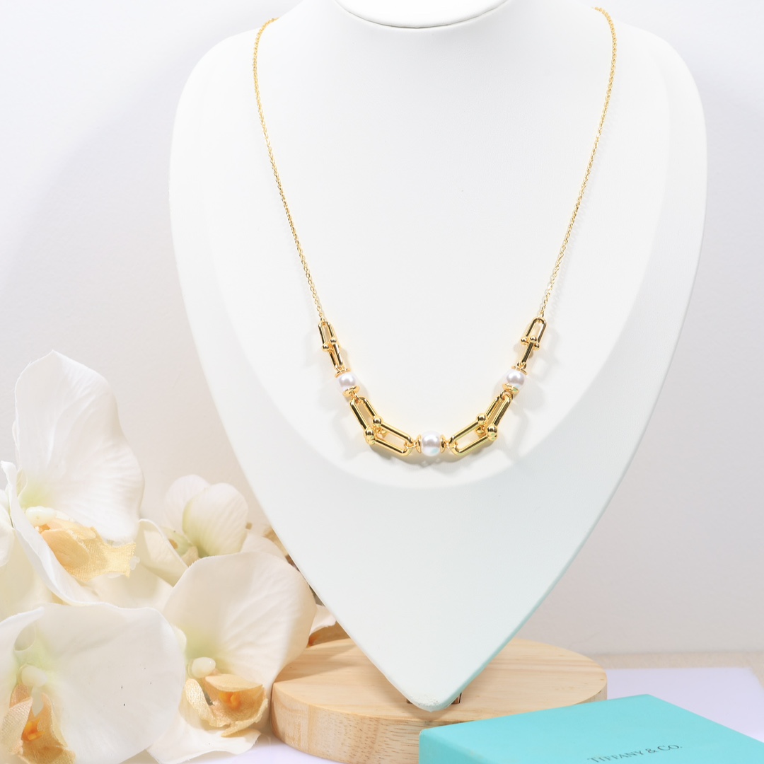 Tiffany & Co. Link Necklace - 
