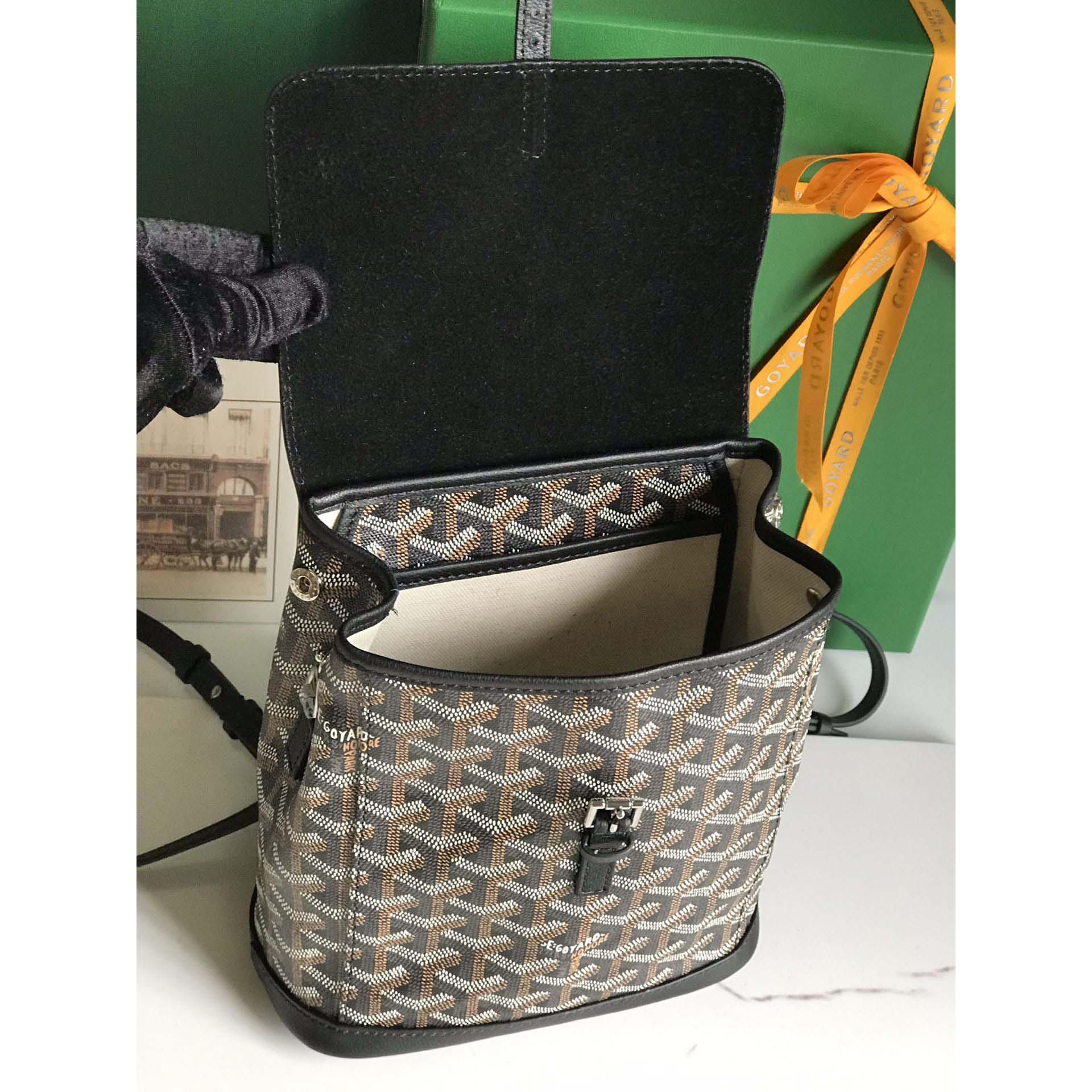 Goyard Alpin Mini Backpack - 