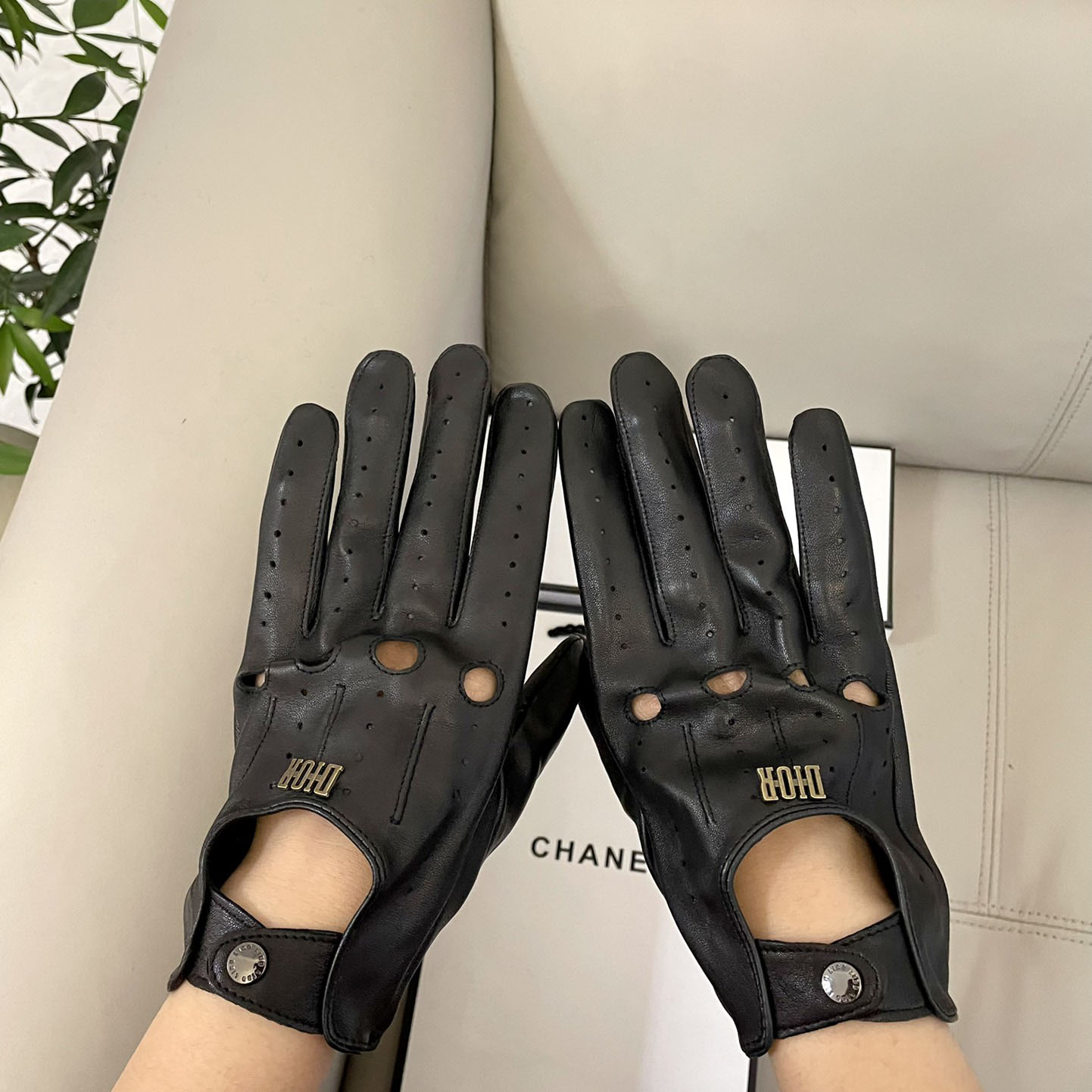 Dior Gloves  - 