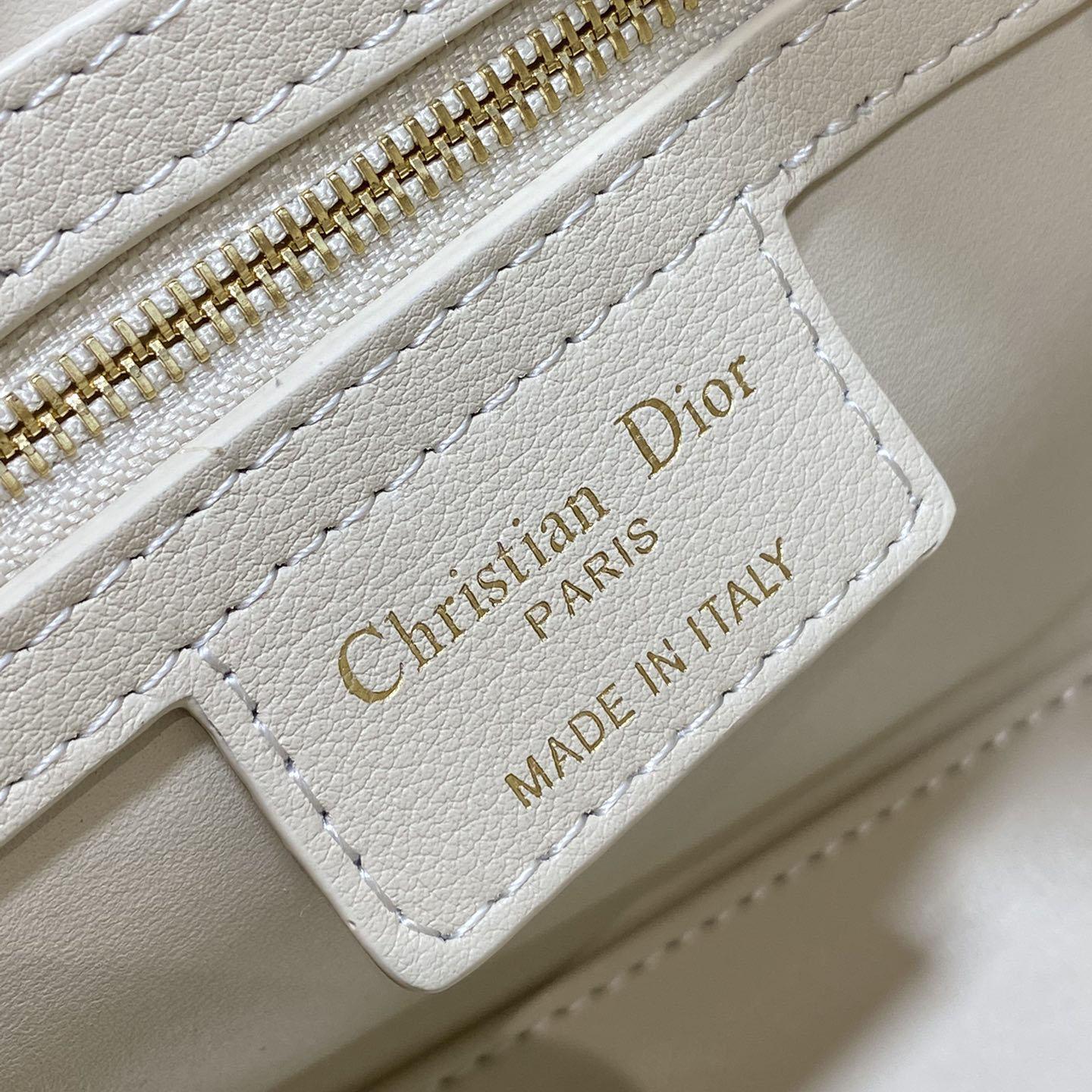 Dior Groove 20 Bag  - 
