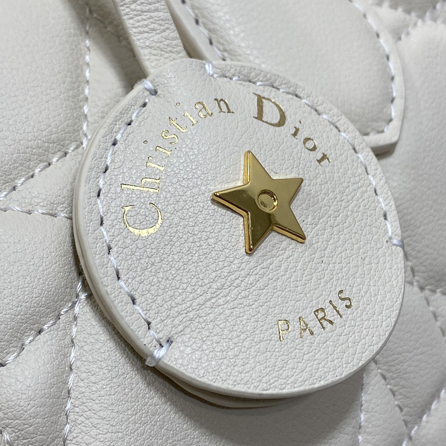 Dior Groove 20 Bag  - 