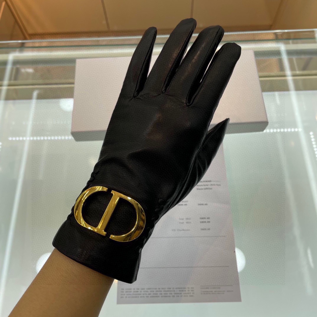 Dior Gloves  - 