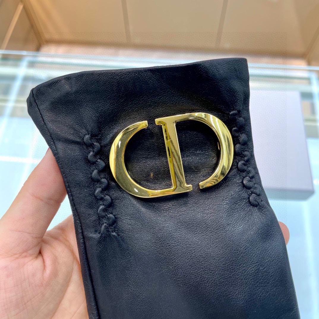 Dior Gloves  - 