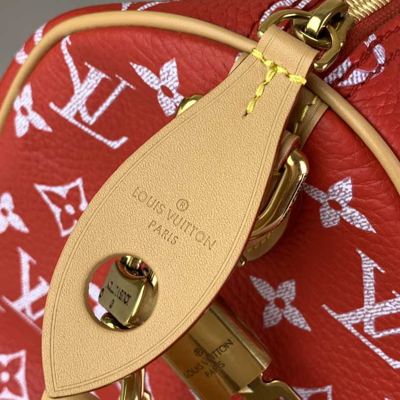 Louis Vuitton Speedy P9 Bandoulière 25   M24425 - 