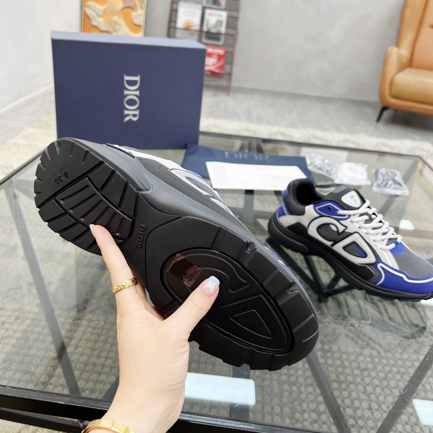 Dior B30 Sneaker - DesignerGu