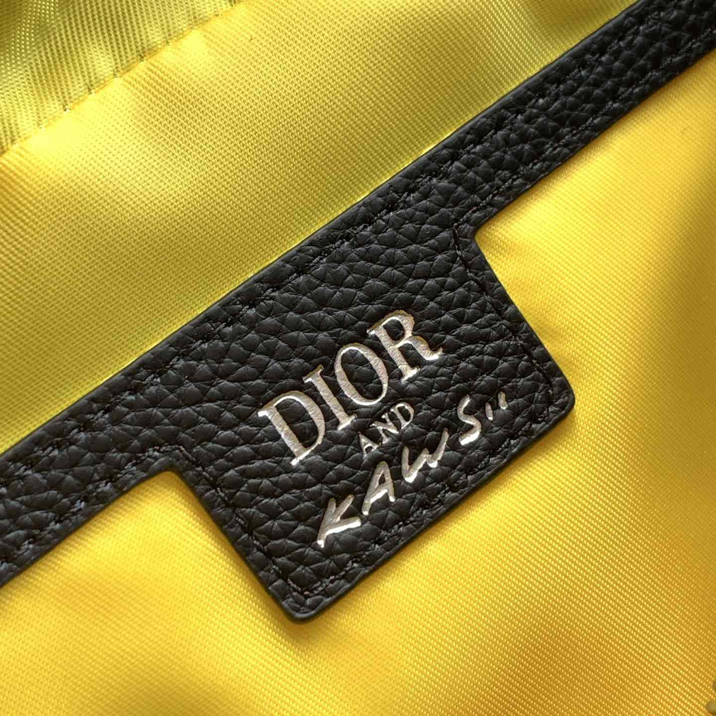 Dior And Kaws Mini Rider 2.0 Zipped Messenger Bag   - DesignerGu