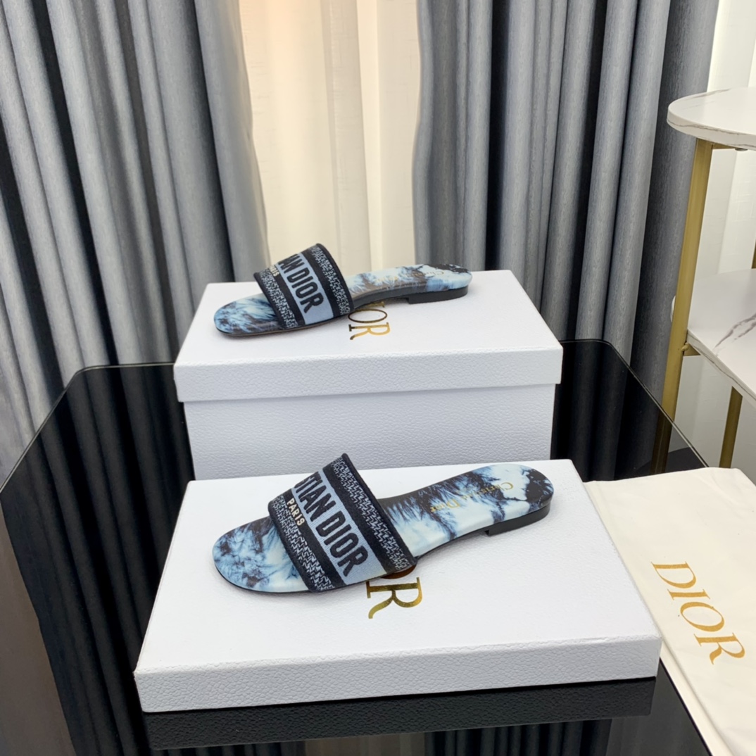 Dior Dway Slide  - DesignerGu