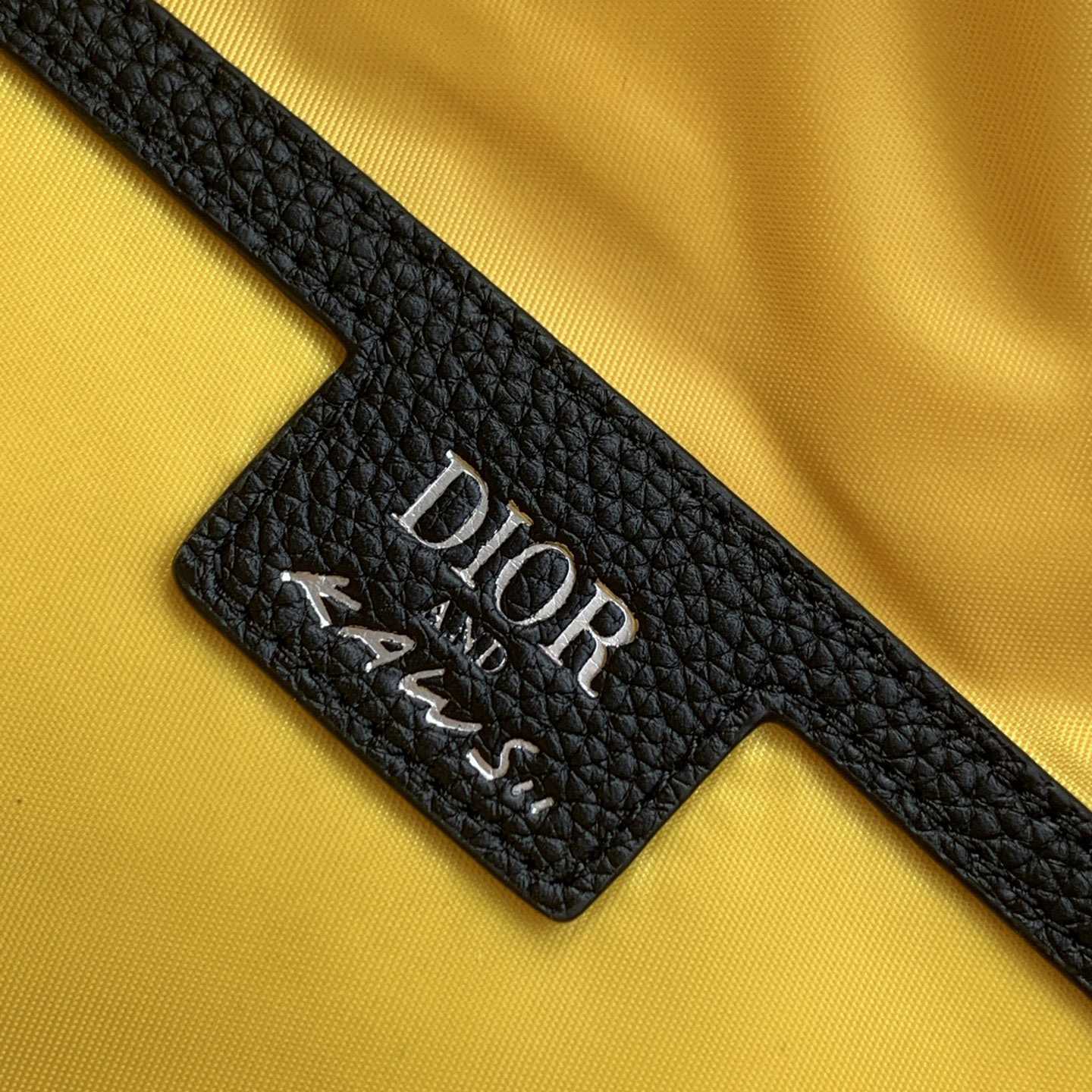 Dior And Kaws Rider 2.0 Belt Bag - DesignerGu