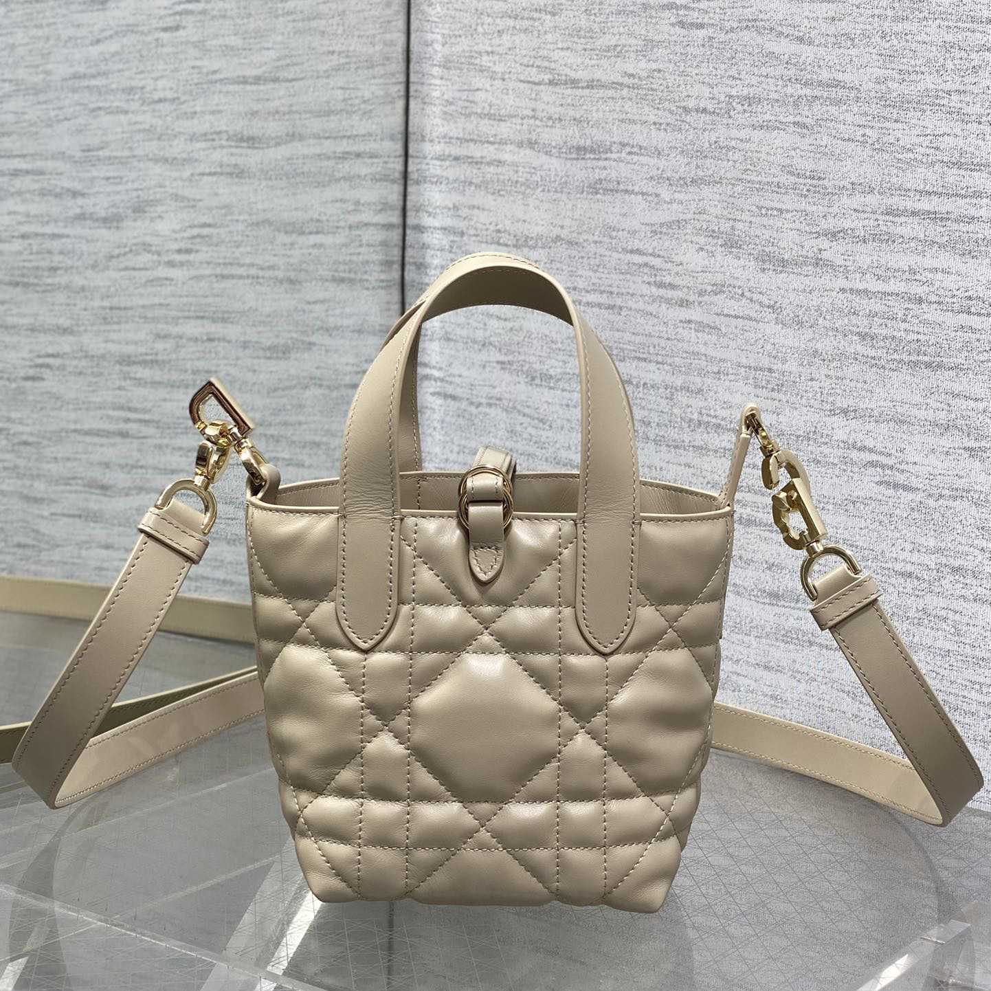 Dior Toujours Vertical Nano Tote Bag  - DesignerGu