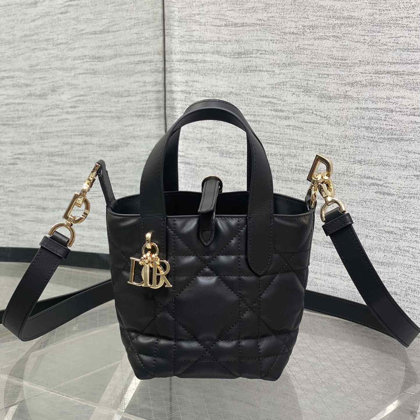 Dior Toujours Vertical Nano Tote Bag  - DesignerGu