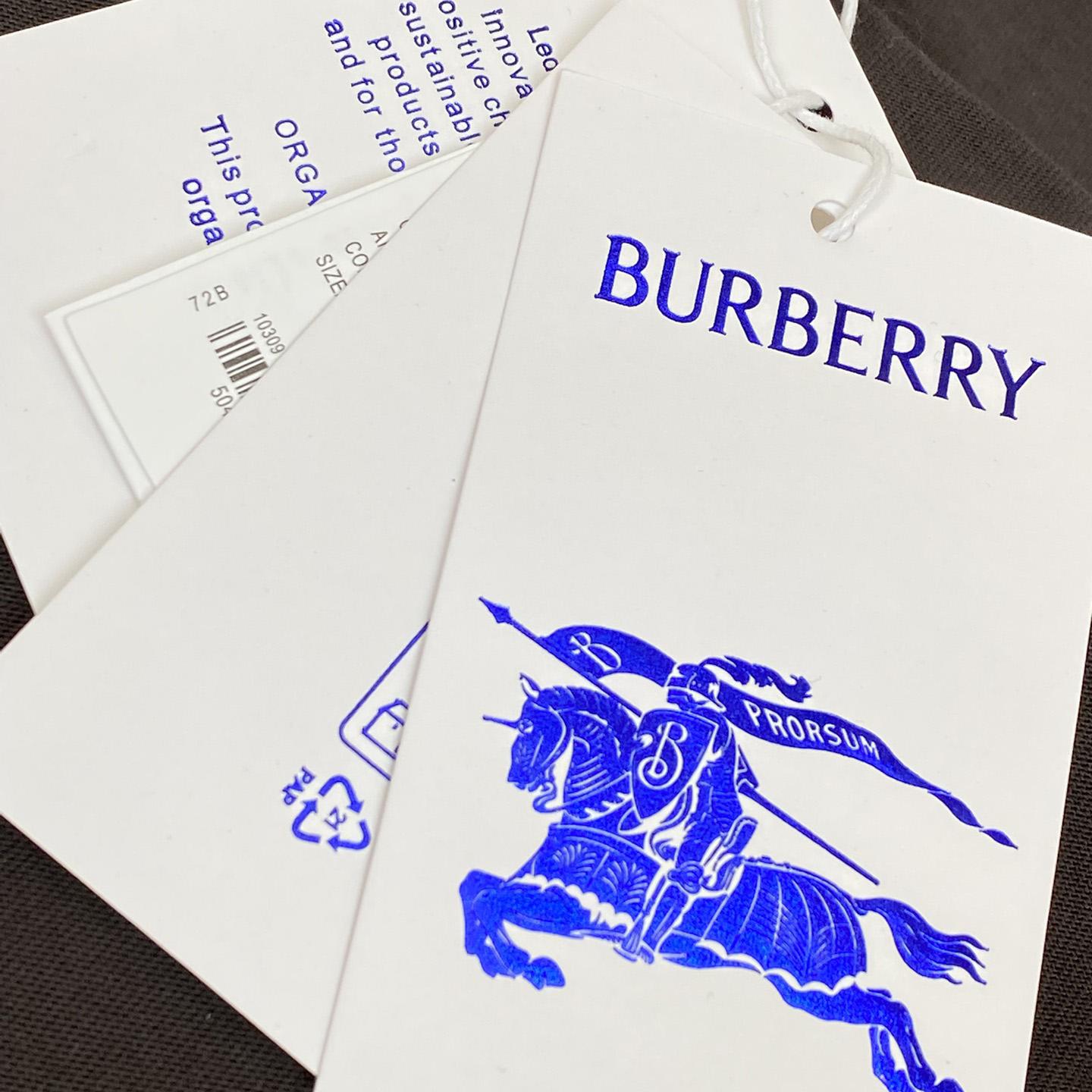 Burberry Paisley Logo Cotton T-shirt - DesignerGu