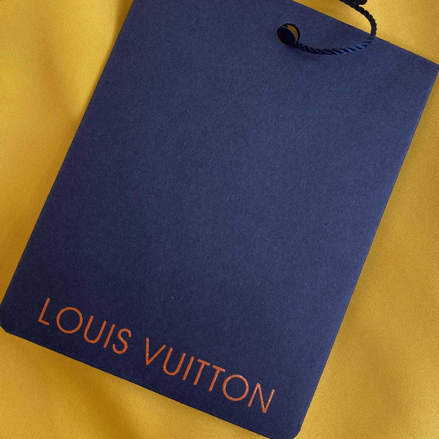 Louis Vuitton Monogram Printed Technical Track Pants   1AFWQM - DesignerGu