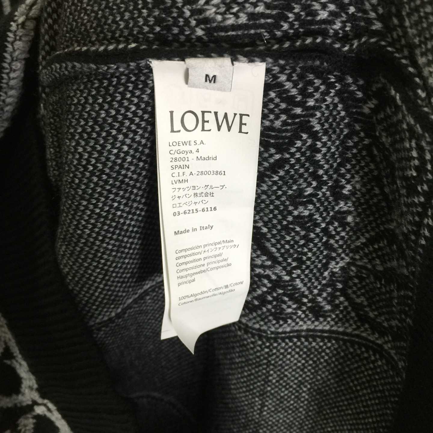 Loewe Sweater In Wool - DesignerGu