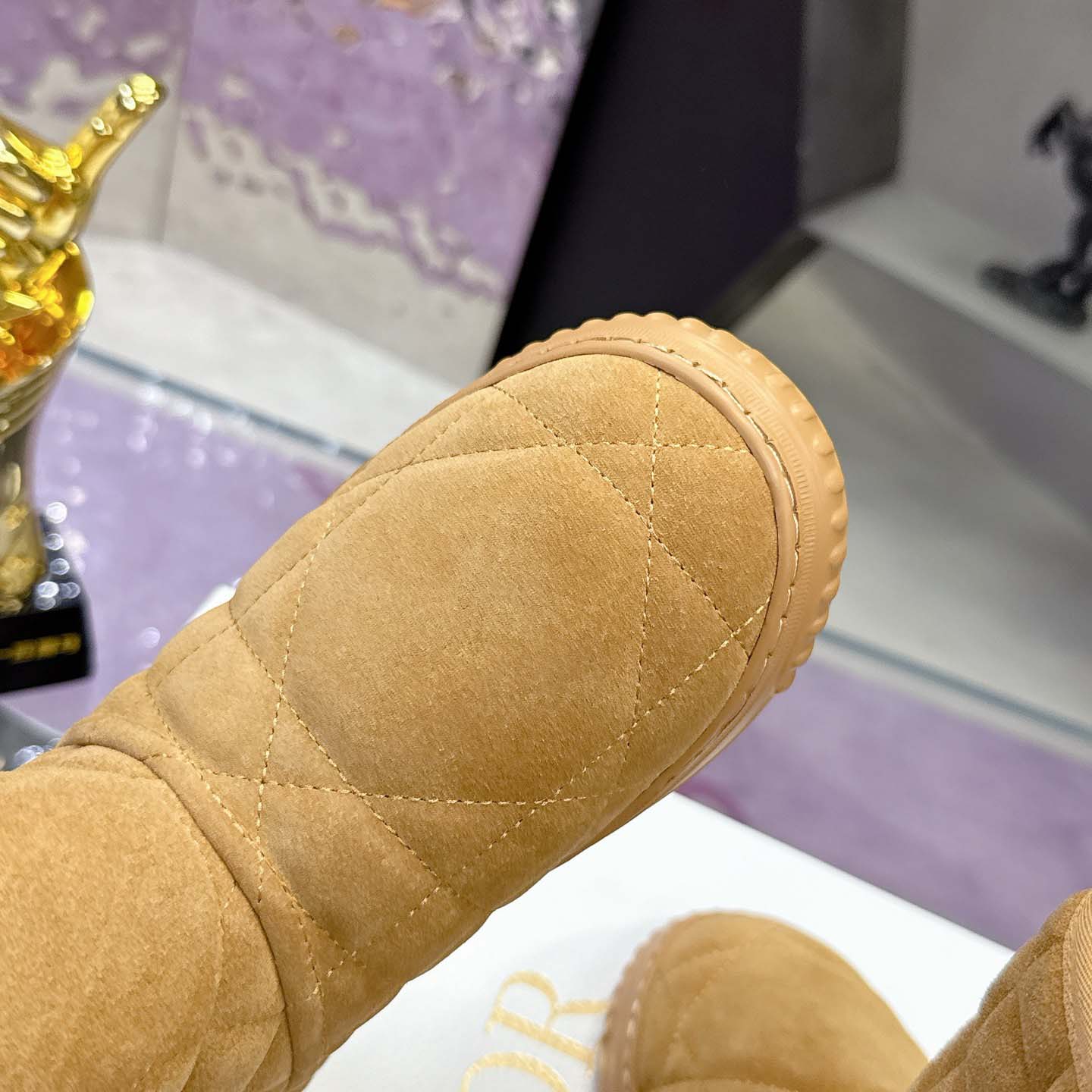 Dior Frost Ankle Boot  - DesignerGu